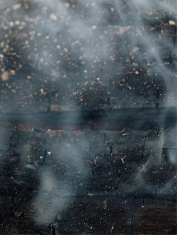 Gloss Conditioner Split Ends Repair - 370 ml