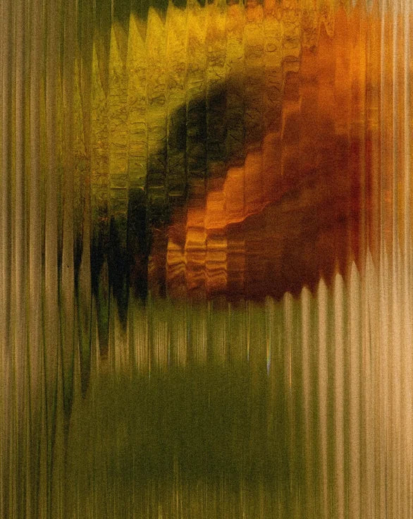 Moisturising Conditioner met Arganolie en Aloë Vera - 290 ml