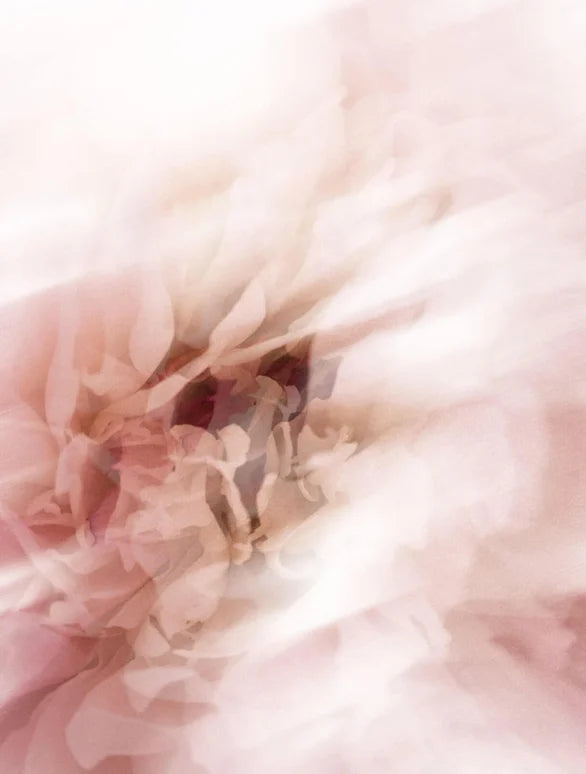 Collagen Anti-Age Night Cream - 50 ml