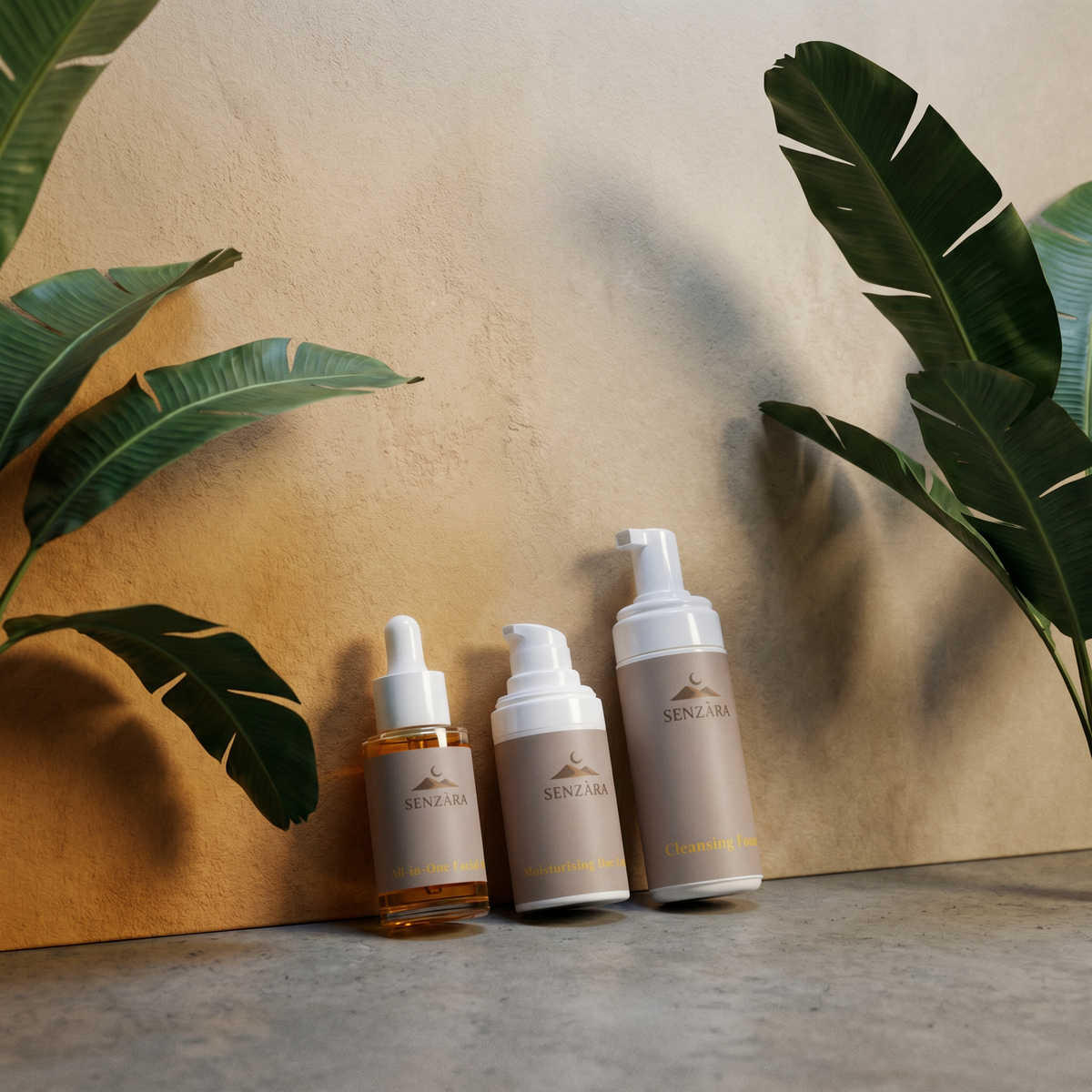 Daily Radiance Collection Box