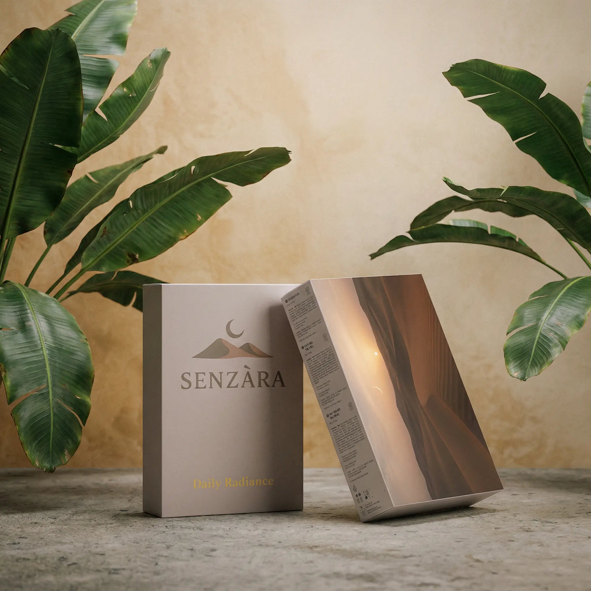 Daily Radiance Collection Box